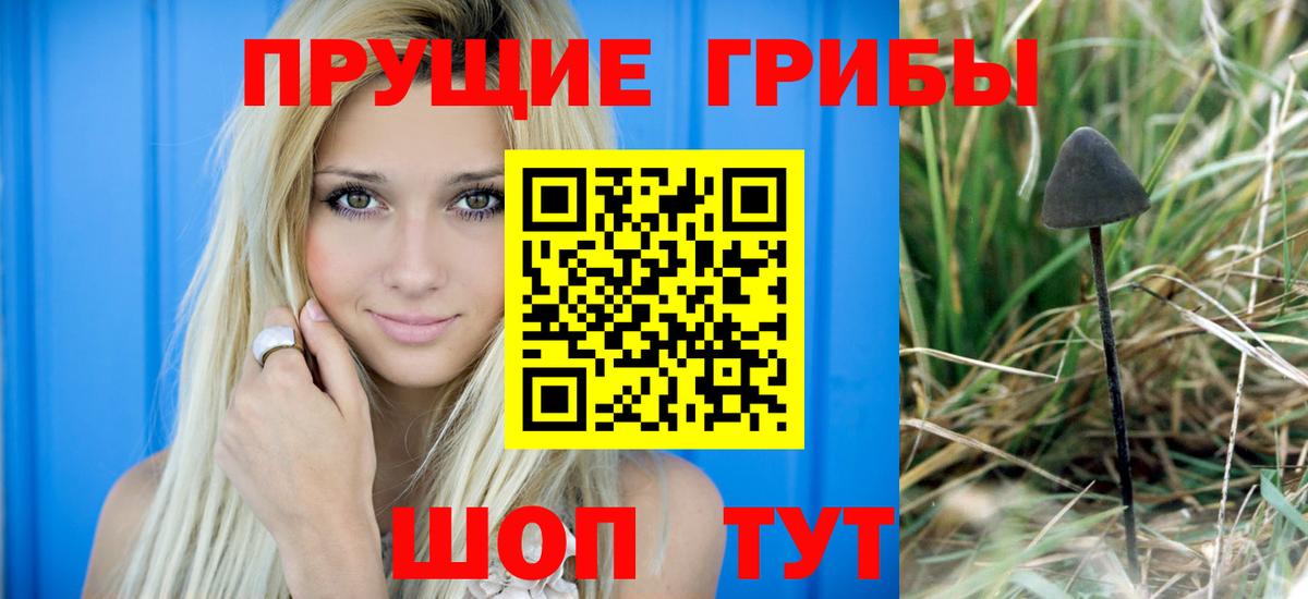 Псилоцибиновые грибы мухоморы  Галлюциногенные грибы GOLDEN TEACHER  Вход с VPN  Среднеуральск 